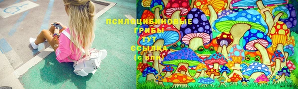 прущая мука Магадан