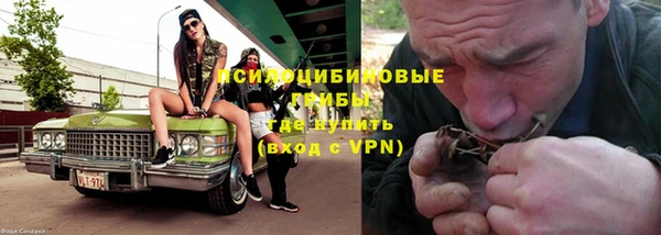 амф Магас